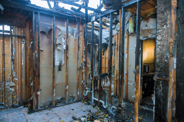Professional Fire Damage Assessment technician working in Big Lake, WA