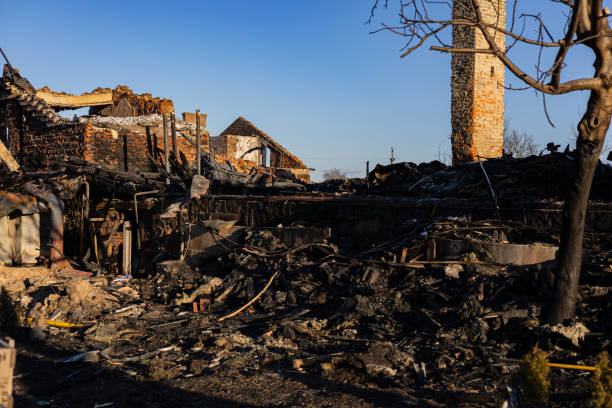 Reliable Fire Damage Assessment contractor in Big Lake, WA by Fire Damage Doption